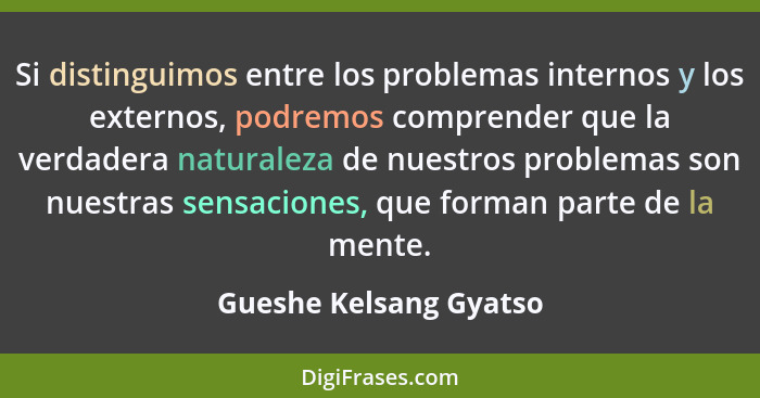 Si distinguimos entre los problemas internos y los externos, podremos comprender que la verdadera naturaleza de nuestros probl... - Gueshe Kelsang Gyatso