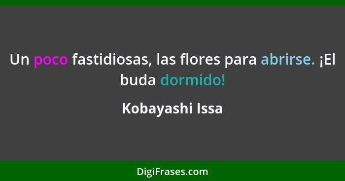 Un poco fastidiosas, las flores para abrirse. ¡El buda dormido!... - Kobayashi Issa