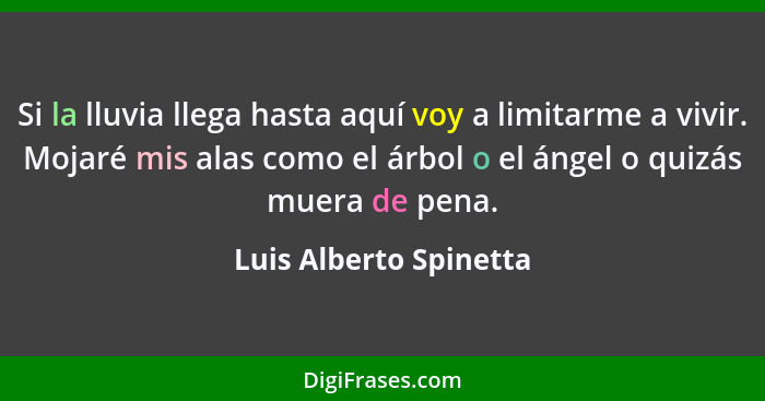 Si la lluvia llega hasta aquí voy a limitarme a vivir. Mojaré mis alas como el árbol o el ángel o quizás muera de pena.... - Luis Alberto Spinetta