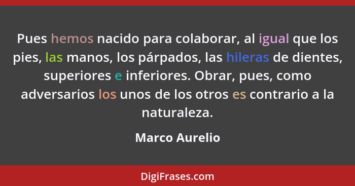 Pues hemos nacido para colaborar, al igual que los pies, las manos, los párpados, las hileras de dientes, superiores e inferiores. Obr... - Marco Aurelio