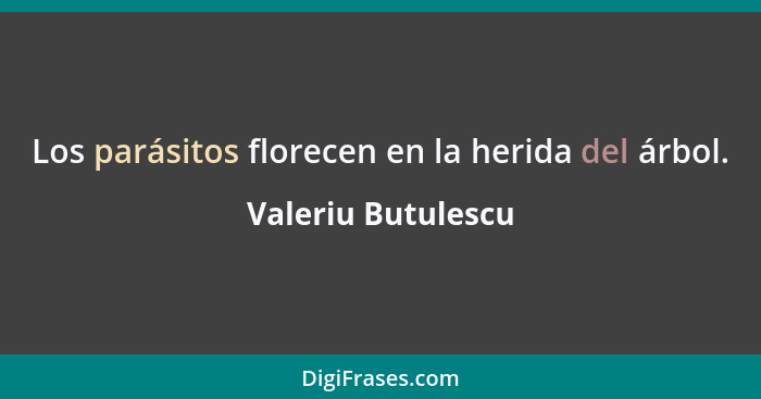 Los parásitos florecen en la herida del árbol.... - Valeriu Butulescu