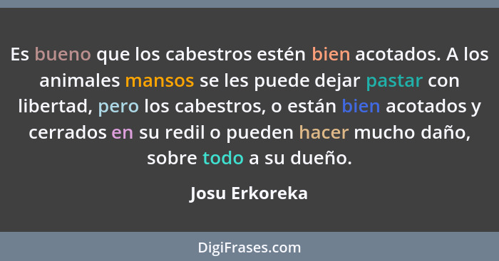 Es bueno que los cabestros estén bien acotados. A los animales mansos se les puede dejar pastar con libertad, pero los cabestros, o es... - Josu Erkoreka