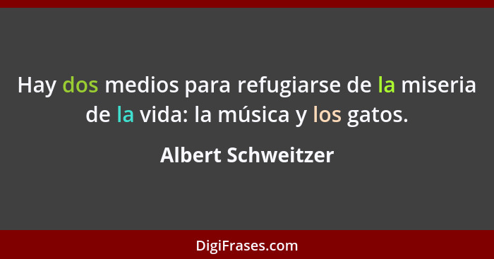 Hay dos medios para refugiarse de la miseria de la vida: la música y los gatos.... - Albert Schweitzer