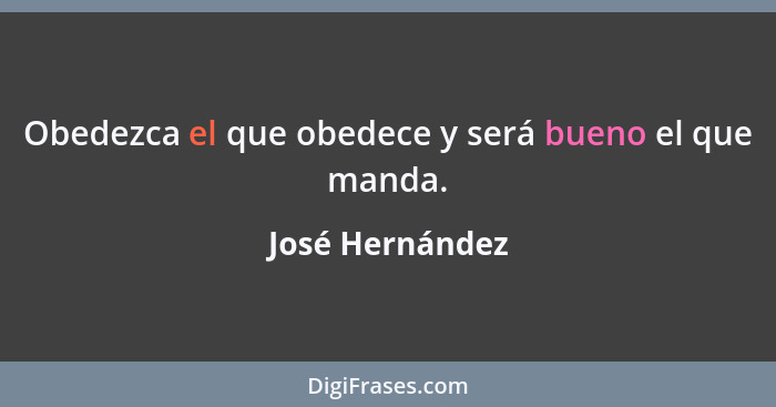 Obedezca el que obedece y será bueno el que manda.... - José Hernández
