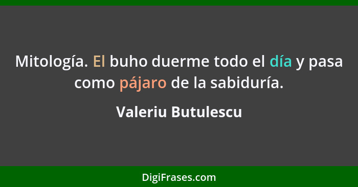 Mitología. El buho duerme todo el día y pasa como pájaro de la sabiduría.... - Valeriu Butulescu