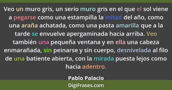 Veo un muro gris, un serio muro gris en el que el sol viene a pegarse como una estampilla la mitad del año, como una araña achatada, c... - Pablo Palacio