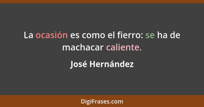 La ocasión es como el fierro: se ha de machacar caliente.... - José Hernández