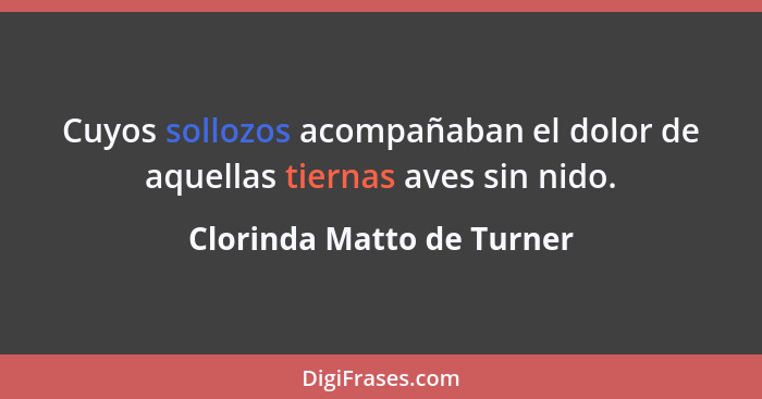 Cuyos sollozos acompañaban el dolor de aquellas tiernas aves sin nido.... - Clorinda Matto de Turner