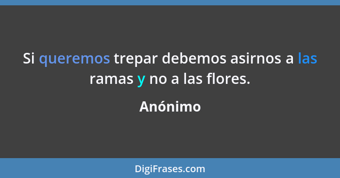 Si queremos trepar debemos asirnos a las ramas y no a las flores.... - Anónimo