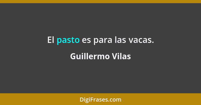 El pasto es para las vacas.... - Guillermo Vilas