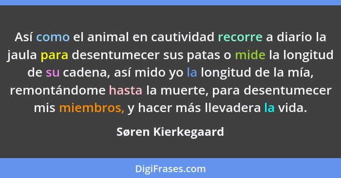 Así­ como el animal en cautividad recorre a diario la jaula para desentumecer sus patas o mide la longitud de su cadena, así mido... - Søren Kierkegaard