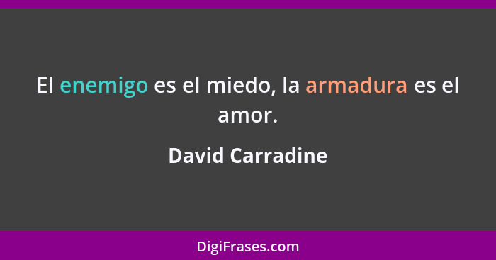 El enemigo es el miedo, la armadura es el amor.... - David Carradine