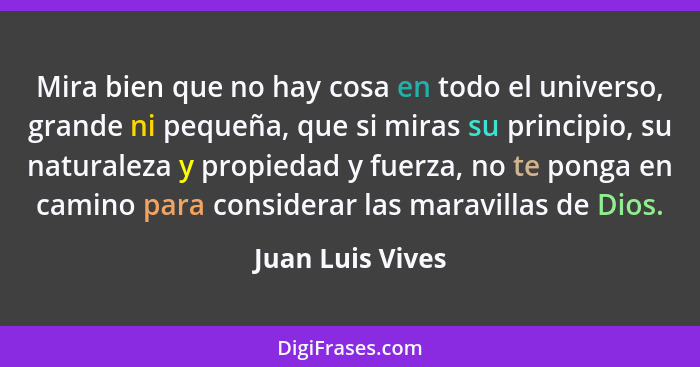 Mira bien que no hay cosa en todo el universo, grande ni pequeña, que si miras su principio, su naturaleza y propiedad y fuerza, no... - Juan Luis Vives