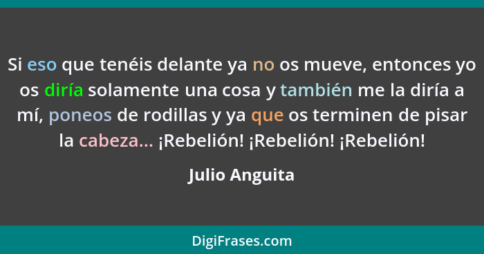 Si eso que tenéis delante ya no os mueve, entonces yo os diría solamente una cosa y también me la diría a mí, poneos de rodillas y ya... - Julio Anguita