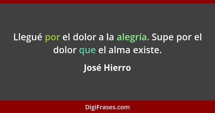 Llegué por el dolor a la alegría. Supe por el dolor que el alma existe.... - José Hierro