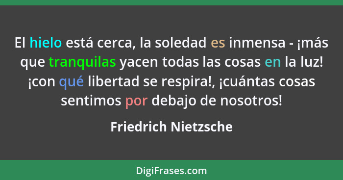 El hielo está cerca, la soledad es inmensa - ¡más que tranquilas yacen todas las cosas en la luz! ¡con qué libertad se respira!,... - Friedrich Nietzsche