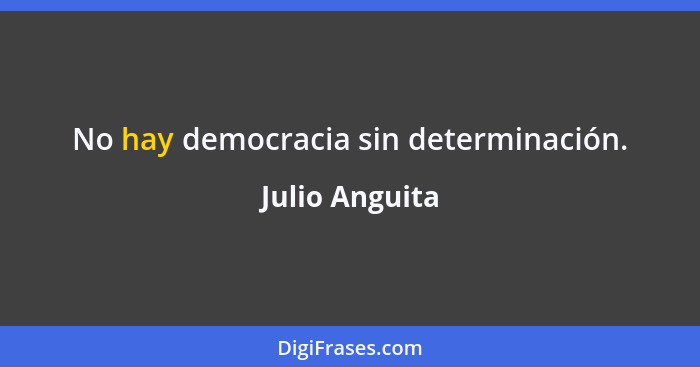 No hay democracia sin determinación.... - Julio Anguita