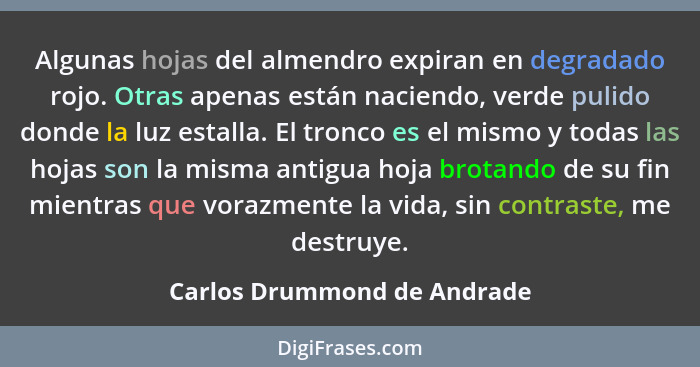 Algunas hojas del almendro expiran en degradado rojo. Otras apenas están naciendo, verde pulido donde la luz estalla. El... - Carlos Drummond de Andrade