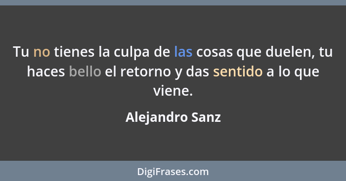 Tu no tienes la culpa de las cosas que duelen, tu haces bello el retorno y das sentido a lo que viene.... - Alejandro Sanz