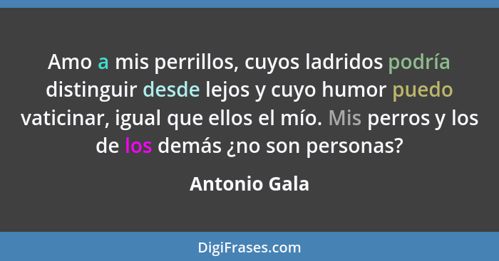 Amo a mis perrillos, cuyos ladridos podría distinguir desde lejos y cuyo humor puedo vaticinar, igual que ellos el mío. Mis perros y lo... - Antonio Gala