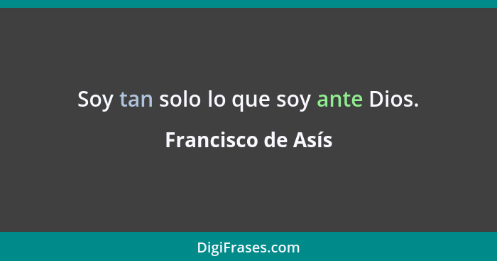 Soy tan solo lo que soy ante Dios.... - Francisco de Asís