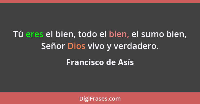 Tú eres el bien, todo el bien, el sumo bien, Señor Dios vivo y verdadero.... - Francisco de Asís