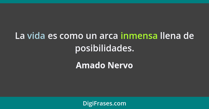 La vida es como un arca inmensa llena de posibilidades.... - Amado Nervo