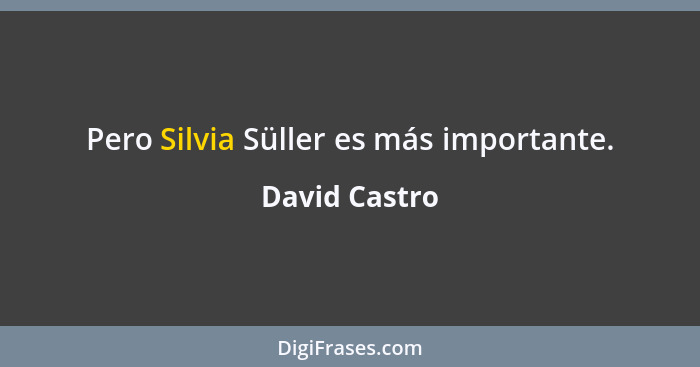 Pero Silvia Süller es más importante.... - David Castro