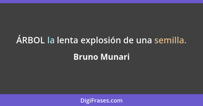 ÁRBOL la lenta explosión de una semilla.... - Bruno Munari