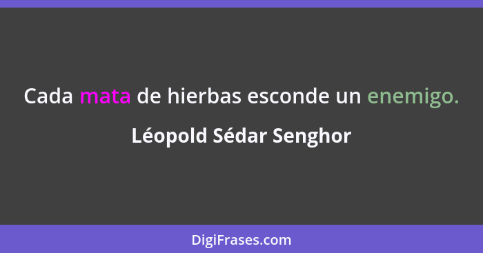 Cada mata de hierbas esconde un enemigo.... - Léopold Sédar Senghor