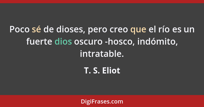 Poco sé de dioses, pero creo que el río es un fuerte dios oscuro -hosco, indómito, intratable.... - T. S. Eliot