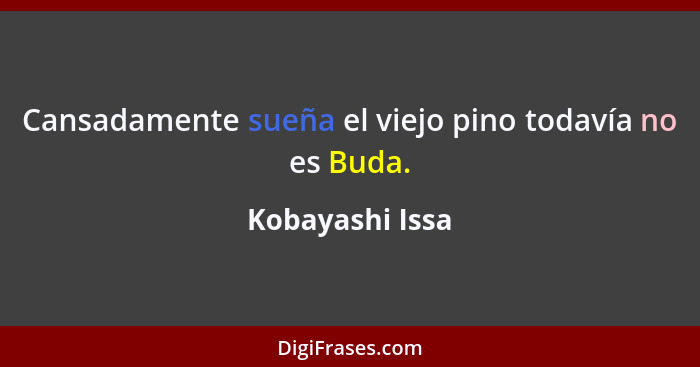 Cansadamente sueña el viejo pino todavía no es Buda.... - Kobayashi Issa