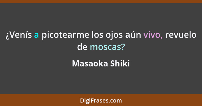 ¿Venís a picotearme los ojos aún vivo, revuelo de moscas?... - Masaoka Shiki