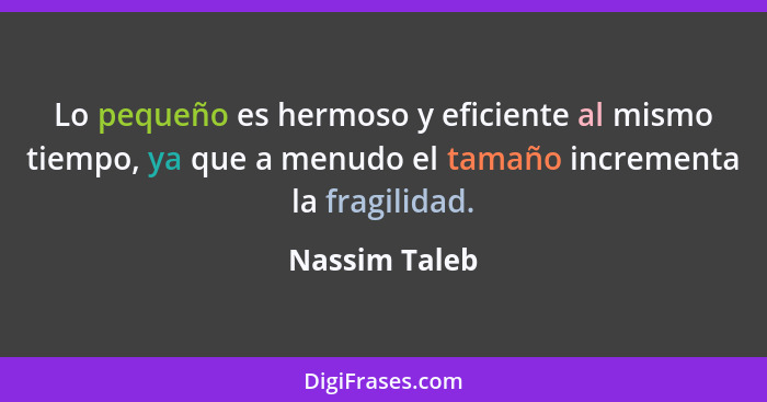 Lo pequeño es hermoso y eficiente al mismo tiempo, ya que a menudo el tamaño incrementa la fragilidad.... - Nassim Taleb