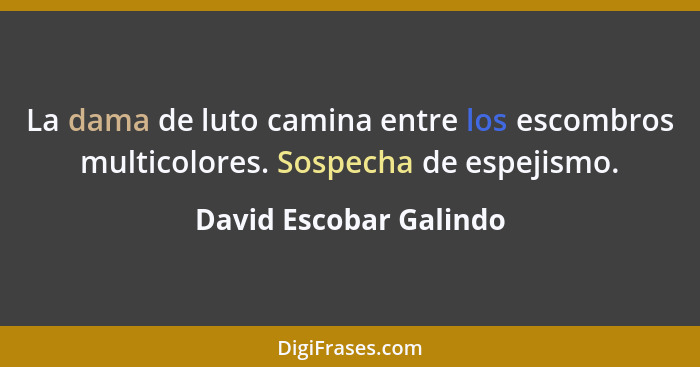 La dama de luto camina entre los escombros multicolores. Sospecha de espejismo.... - David Escobar Galindo