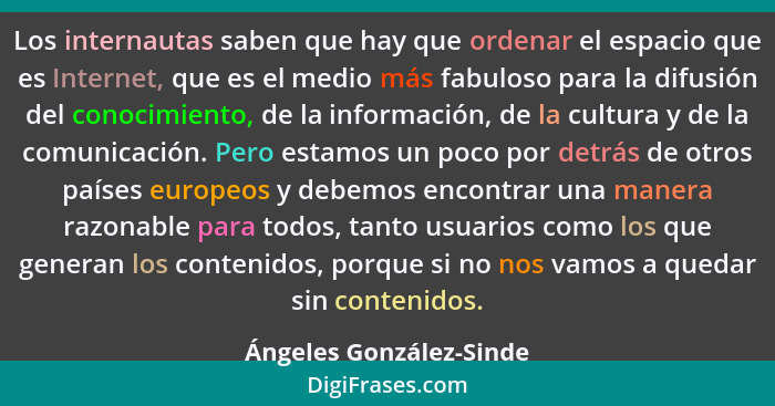 Los internautas saben que hay que ordenar el espacio que es Internet, que es el medio más fabuloso para la difusión del conoc... - Ángeles González-Sinde