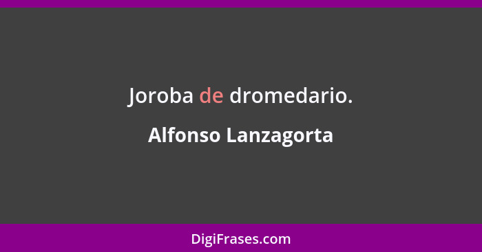 Joroba de dromedario.... - Alfonso Lanzagorta