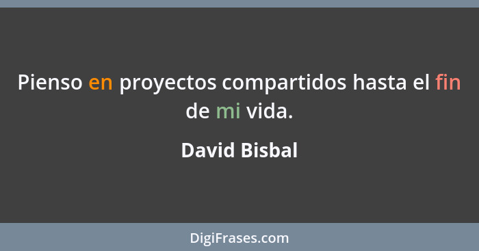 Pienso en proyectos compartidos hasta el fin de mi vida.... - David Bisbal