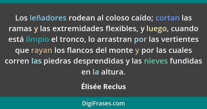 Los leñadores rodean al coloso caído; cortan las ramas y las extremidades flexibles, y luego, cuando está limpio el tronco, lo arrastr... - Élisée Reclus