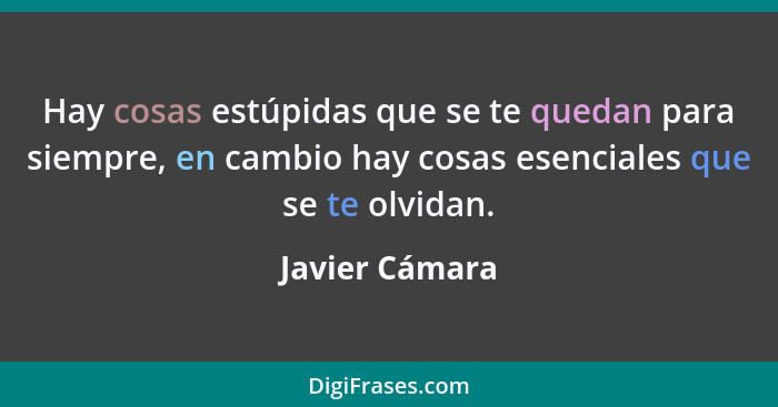 Hay cosas estúpidas que se te quedan para siempre, en cambio hay cosas esenciales que se te olvidan.... - Javier Cámara