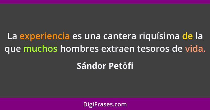 La experiencia es una cantera riquísima de la que muchos hombres extraen tesoros de vida.... - Sándor Petöfi