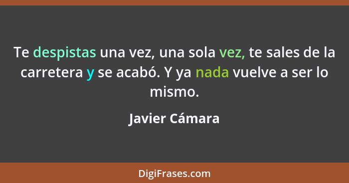 Te despistas una vez, una sola vez, te sales de la carretera y se acabó. Y ya nada vuelve a ser lo mismo.... - Javier Cámara