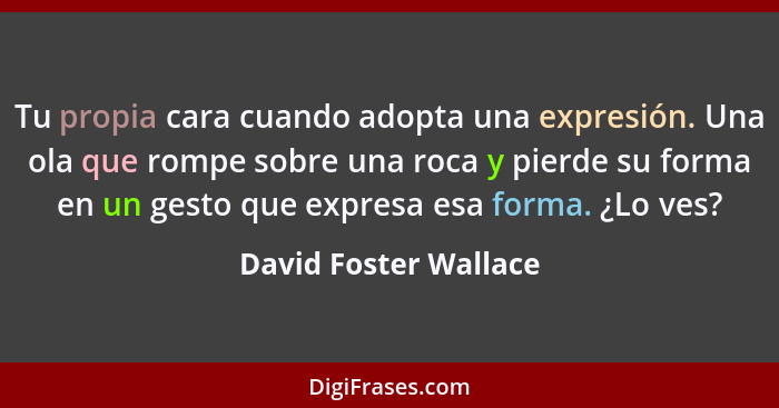 Tu propia cara cuando adopta una expresión. Una ola que rompe sobre una roca y pierde su forma en un gesto que expresa esa form... - David Foster Wallace