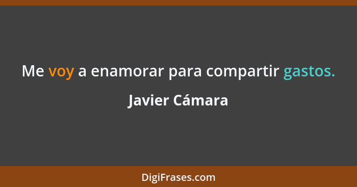 Me voy a enamorar para compartir gastos.... - Javier Cámara