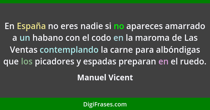 En España no eres nadie si no apareces amarrado a un habano con el codo en la maroma de Las Ventas contemplando la carne para albóndig... - Manuel Vicent