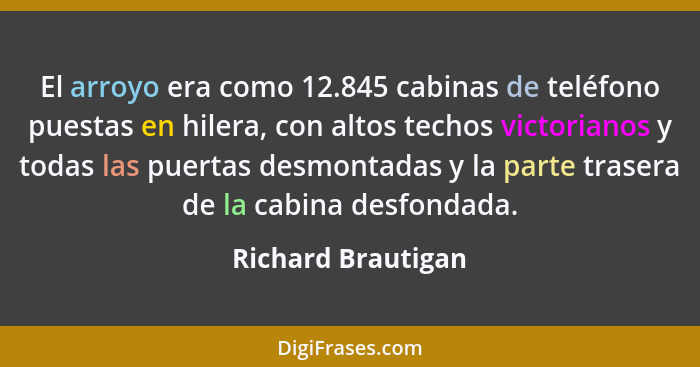 El arroyo era como 12.845 cabinas de teléfono puestas en hilera, con altos techos victorianos y todas las puertas desmontadas y la... - Richard Brautigan