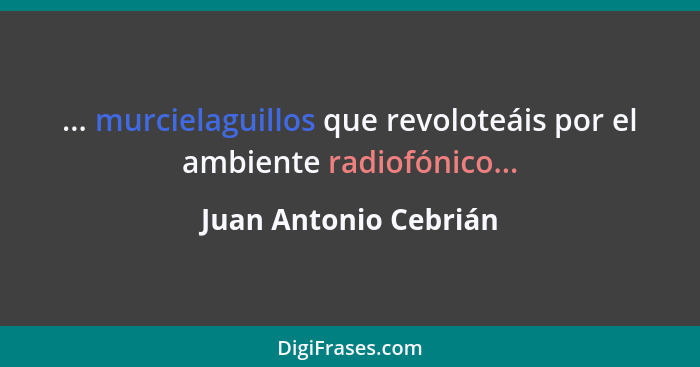 ... murcielaguillos que revoloteáis por el ambiente radiofónico...... - Juan Antonio Cebrián