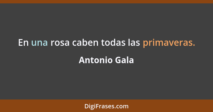 En una rosa caben todas las primaveras.... - Antonio Gala