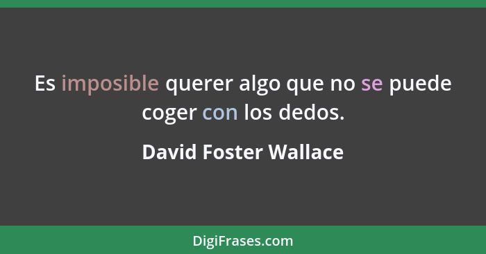 Es imposible querer algo que no se puede coger con los dedos.... - David Foster Wallace