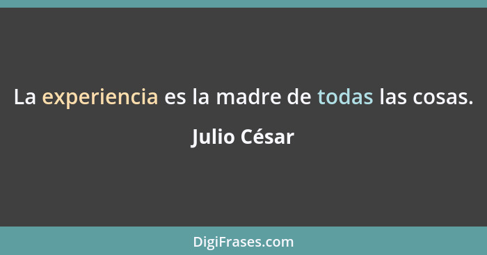 La experiencia es la madre de todas las cosas.... - Julio César